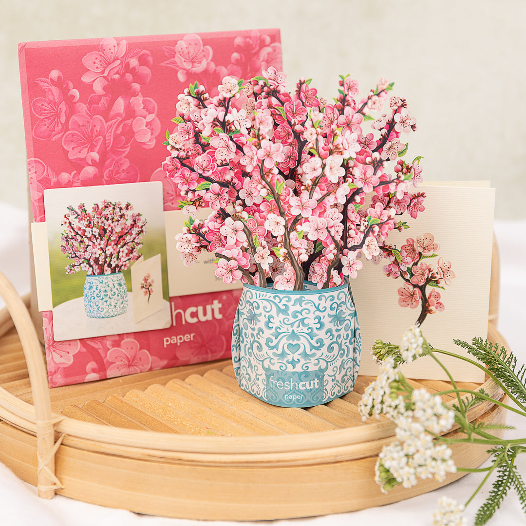 Freshcut Papers | Mini Cherry Blossoms Pop-Up Card | $8.95